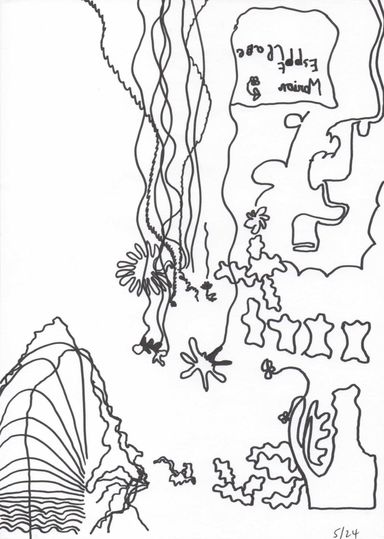 5-24-l/1 - dessin de Marion Casters