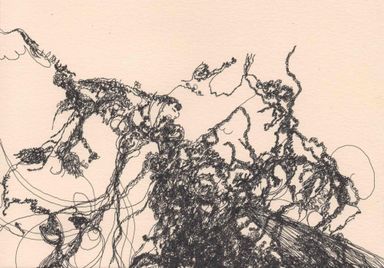 6-25-l/7 - dessin de Marion Casters
