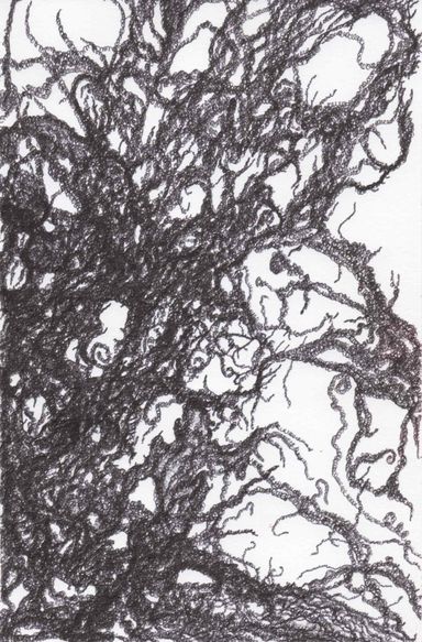 12-24-a - dessin de Marion Casters