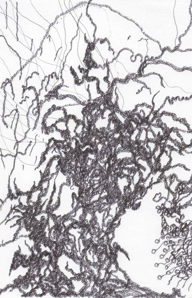12-24-a/1 - dessin de Marion Casters
