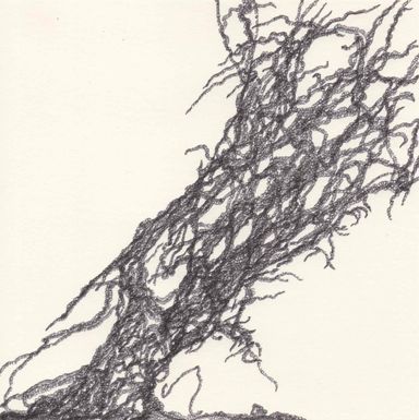 2-25-a - dessin de Marion Casters