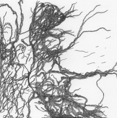 2-25-an/1 - dessin de Marion Casters