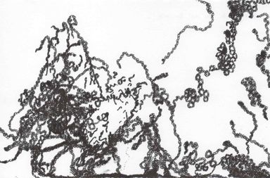 3-25-div/1 - dessin de Marion Casters