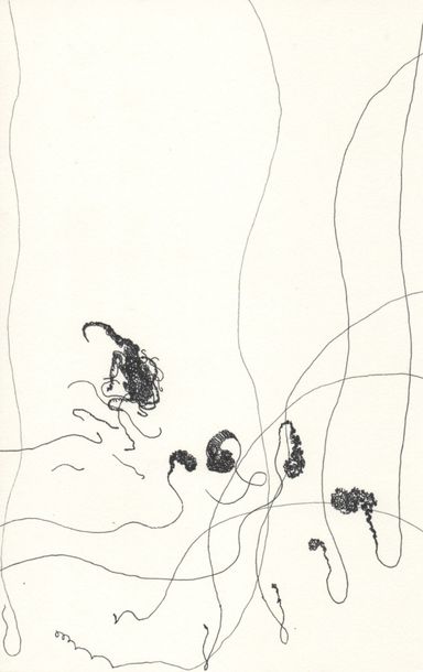5-24-div - dessin de Marion Casters