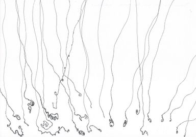 5-24-div/2 - dessin de Marion Casters
