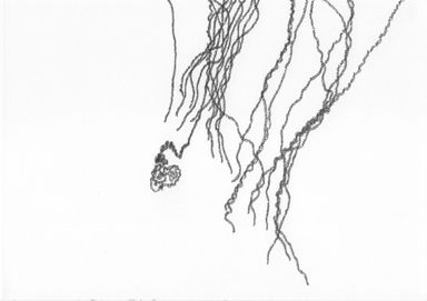 9-24-div - dessin de Marion Casters