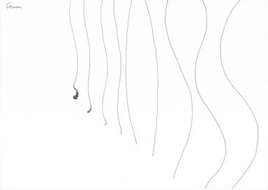 5-24-fe - dessin de Marion Casters
