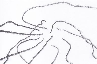 1-25-l/10 - dessin de Marion Casters