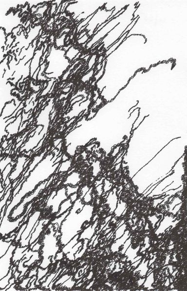 4-25-l/1 - dessin de Marion Casters