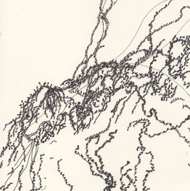 5-25-l/1 - dessin de Marion Casters