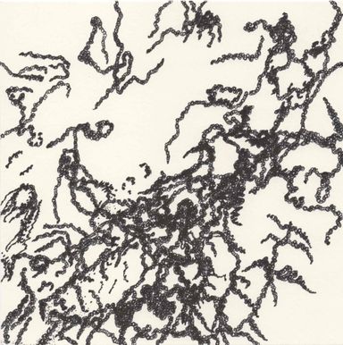 5-25-l/12 - dessin de Marion Casters