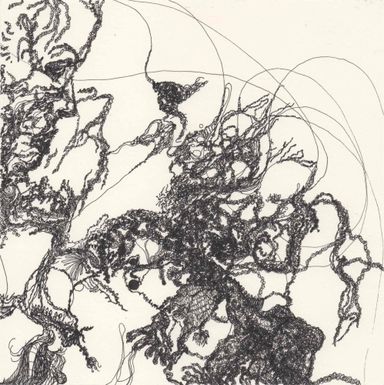 6-25-l/2 - dessin de Marion Casters