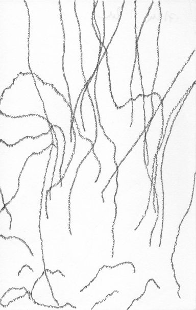 7-24-l/1 - dessin de Marion Casters